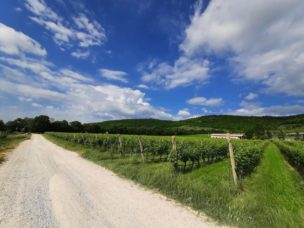 Agriturismo Andreis Alloggi Illasi Εξωτερικό φωτογραφία