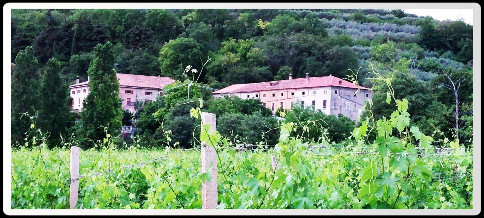 Agriturismo Andreis Alloggi Illasi Εξωτερικό φωτογραφία